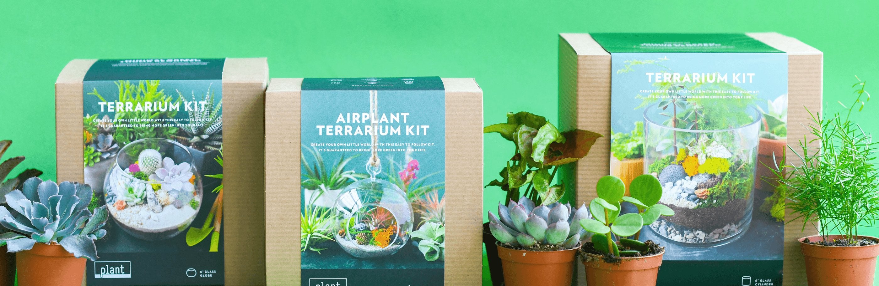 Terrarium Kits