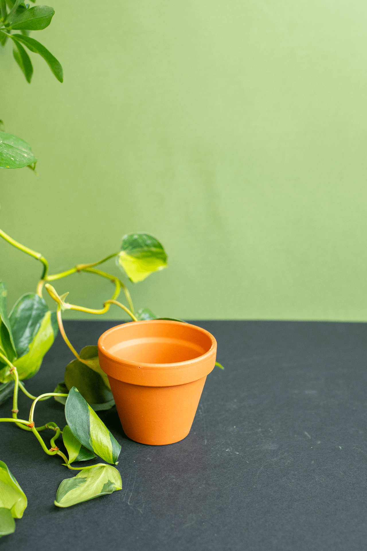 Planters: Terracotta