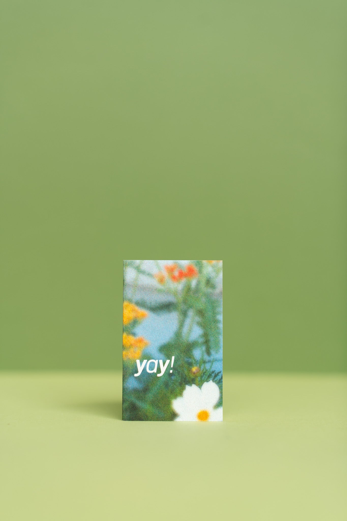 Plant Merch : Floral Mini Cards