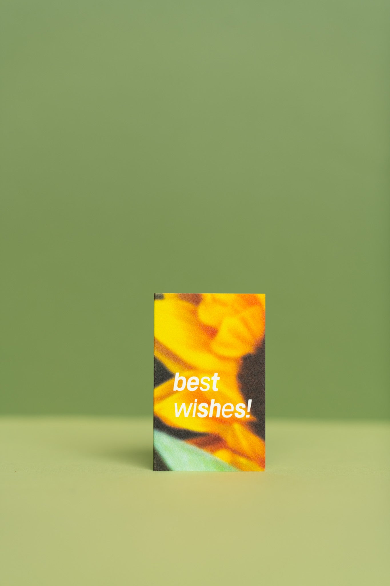 Plant Merch : Floral Mini Cards