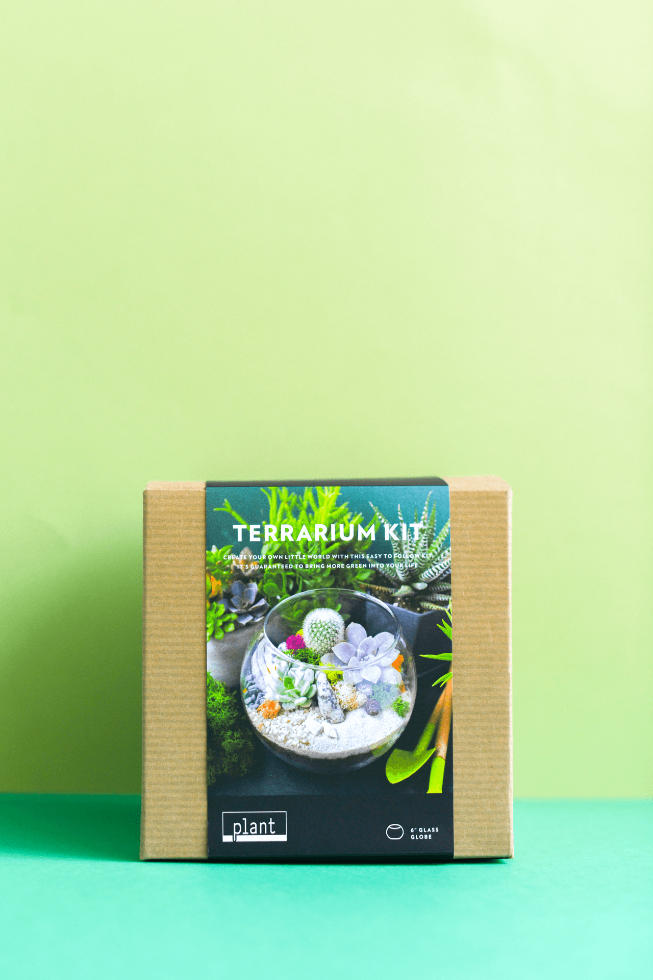 Terrarium Kit : Globe w/ Plants