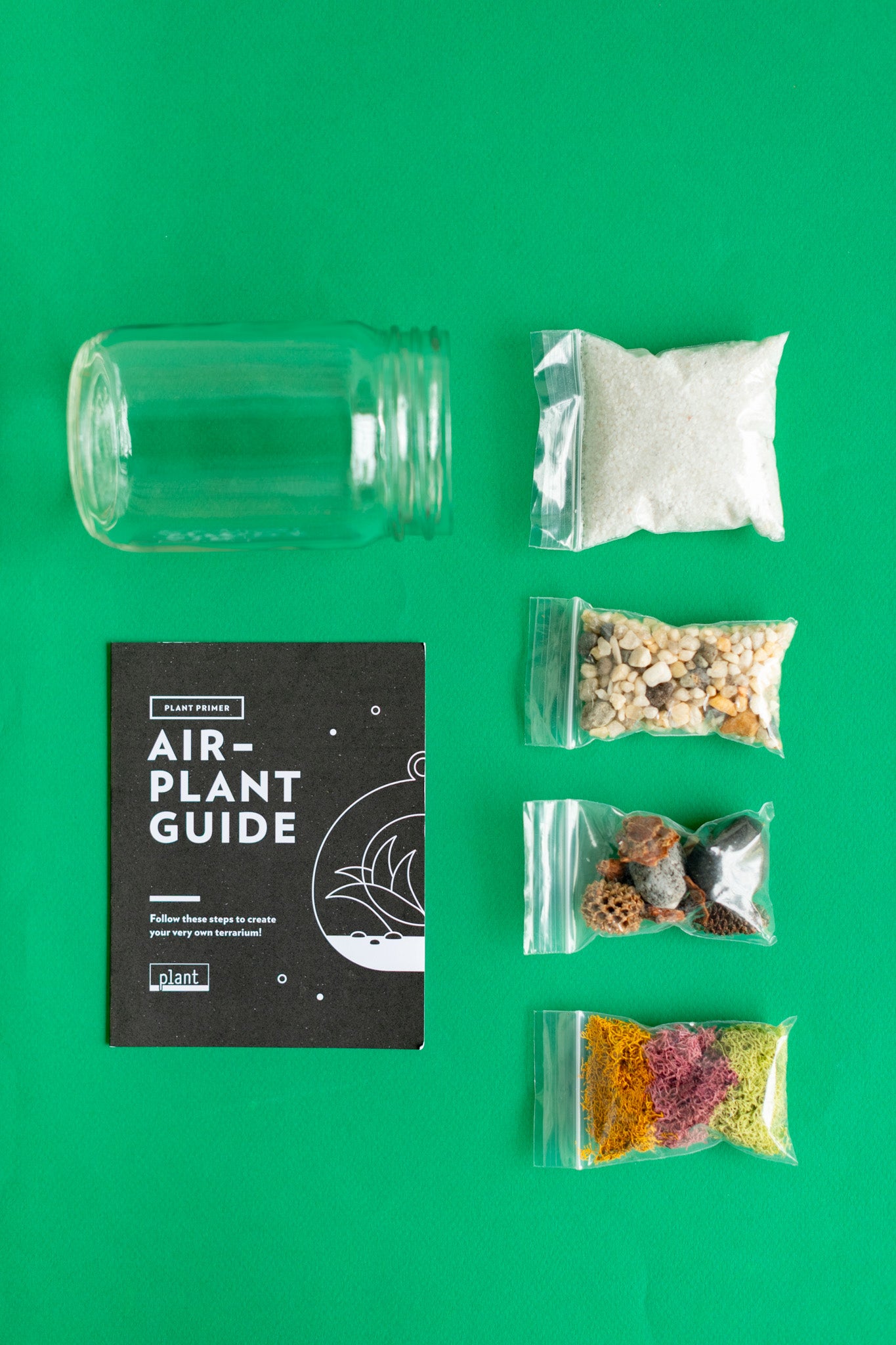 Airplant Terrarium Kit
