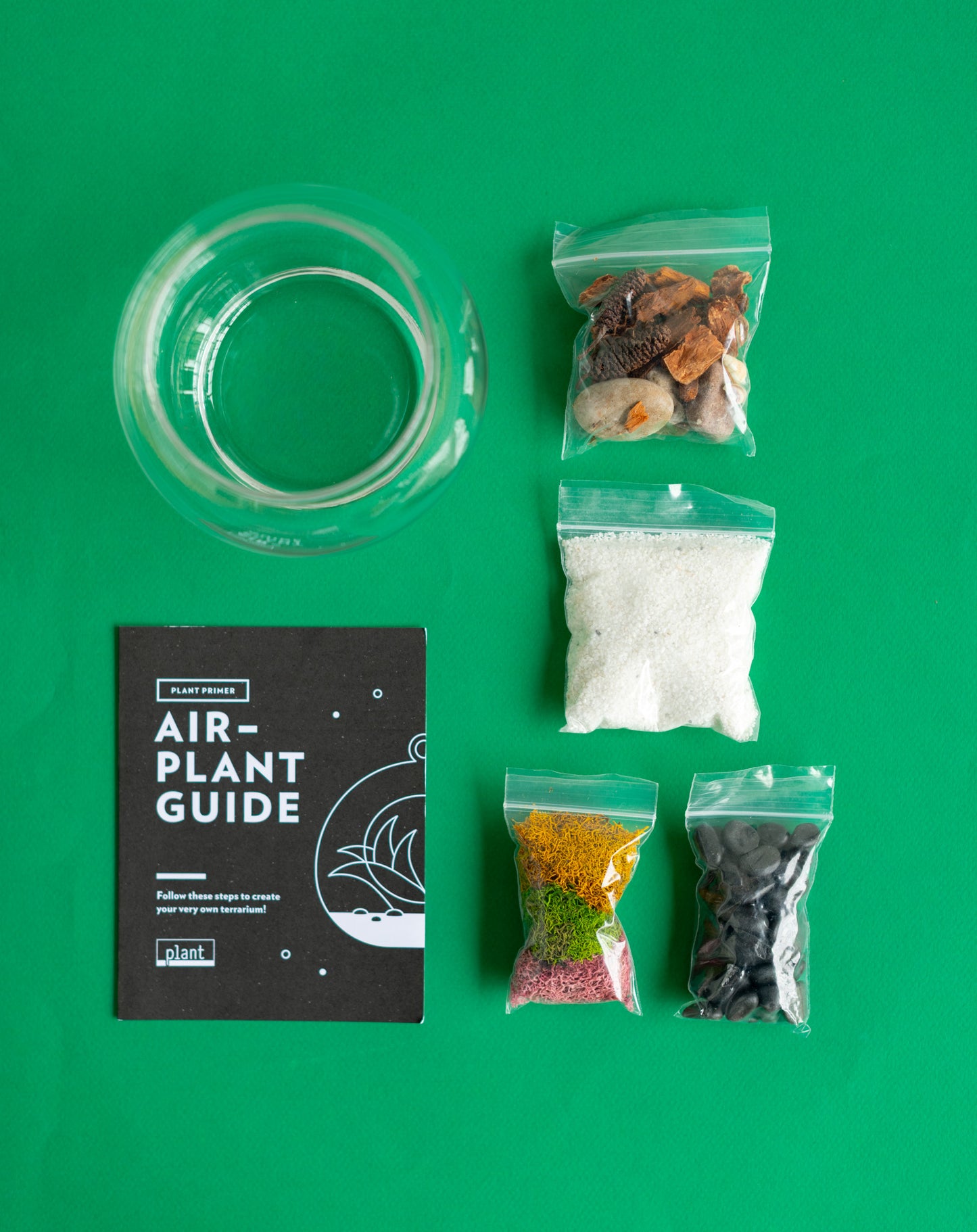 Airplant Terrarium Kit