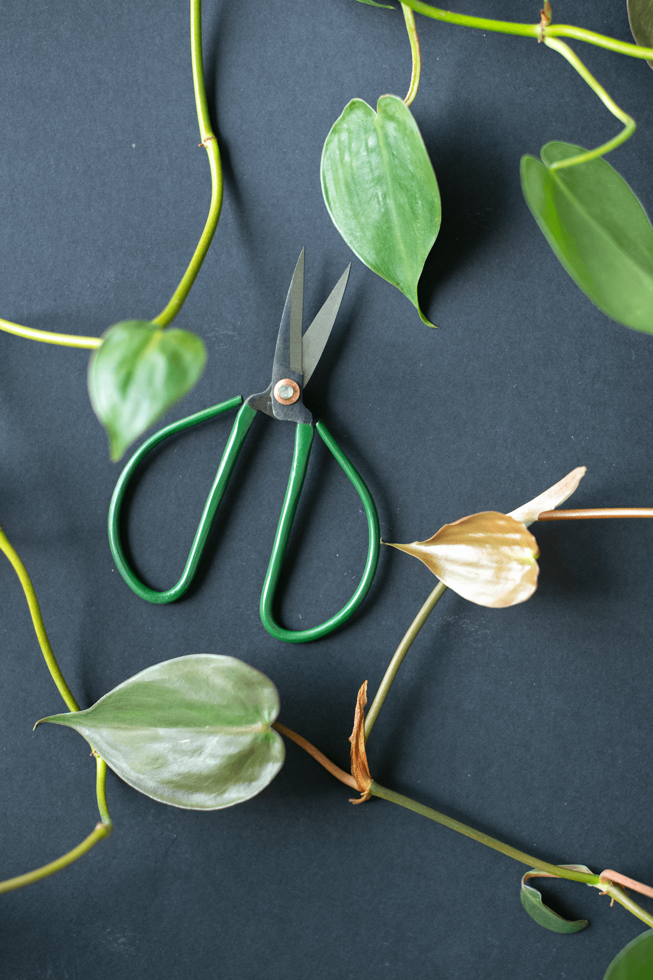 Metal Pruning Scissors