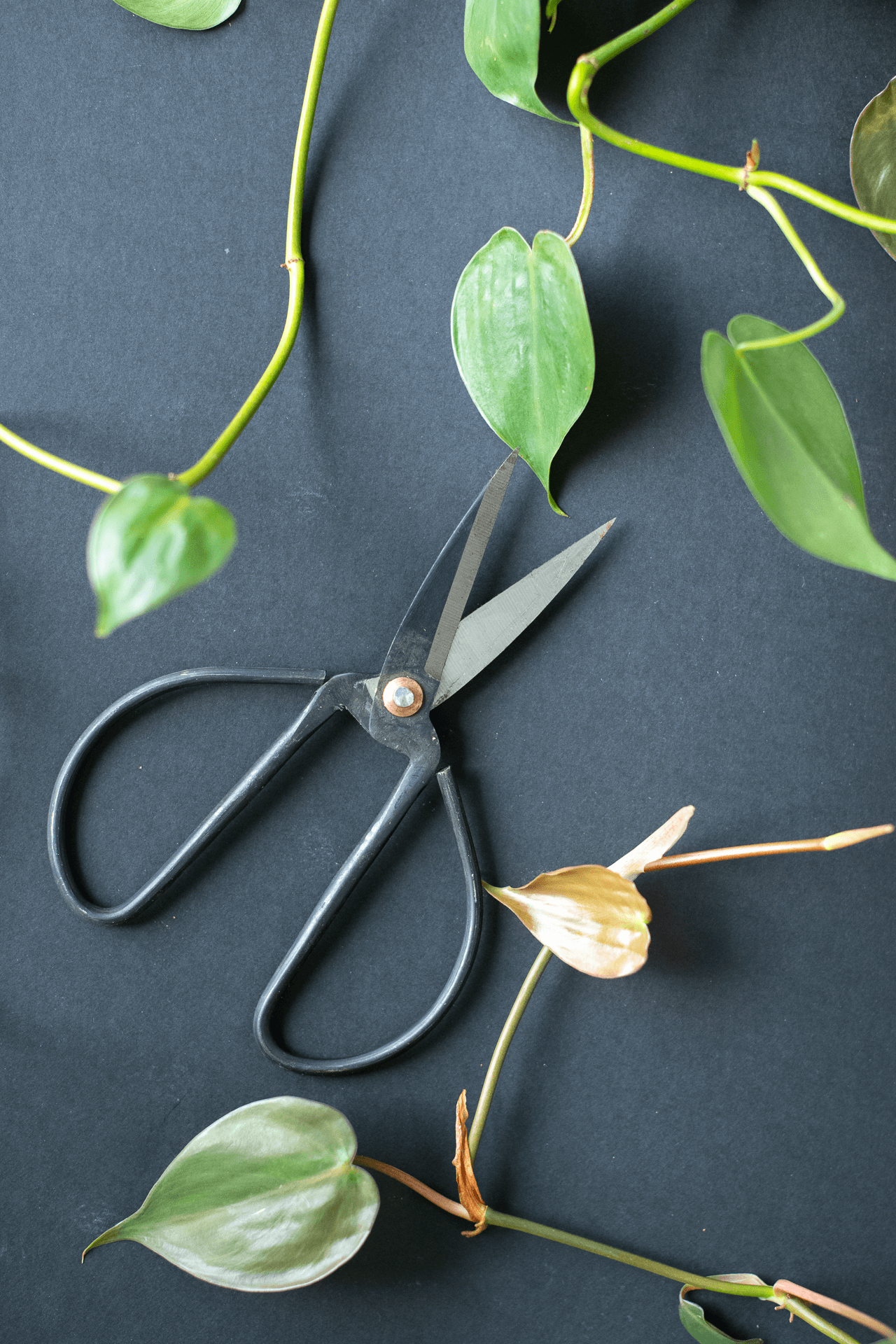 Metal Pruning Scissors