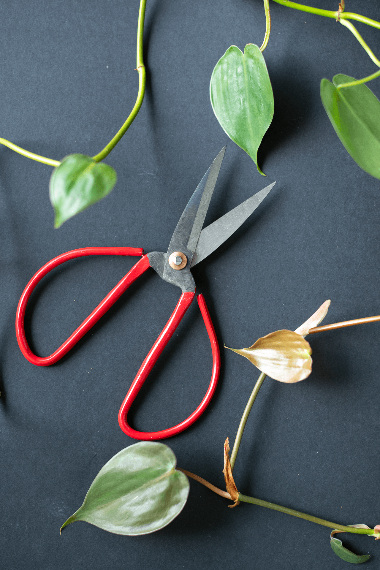 Metal Pruning Scissors