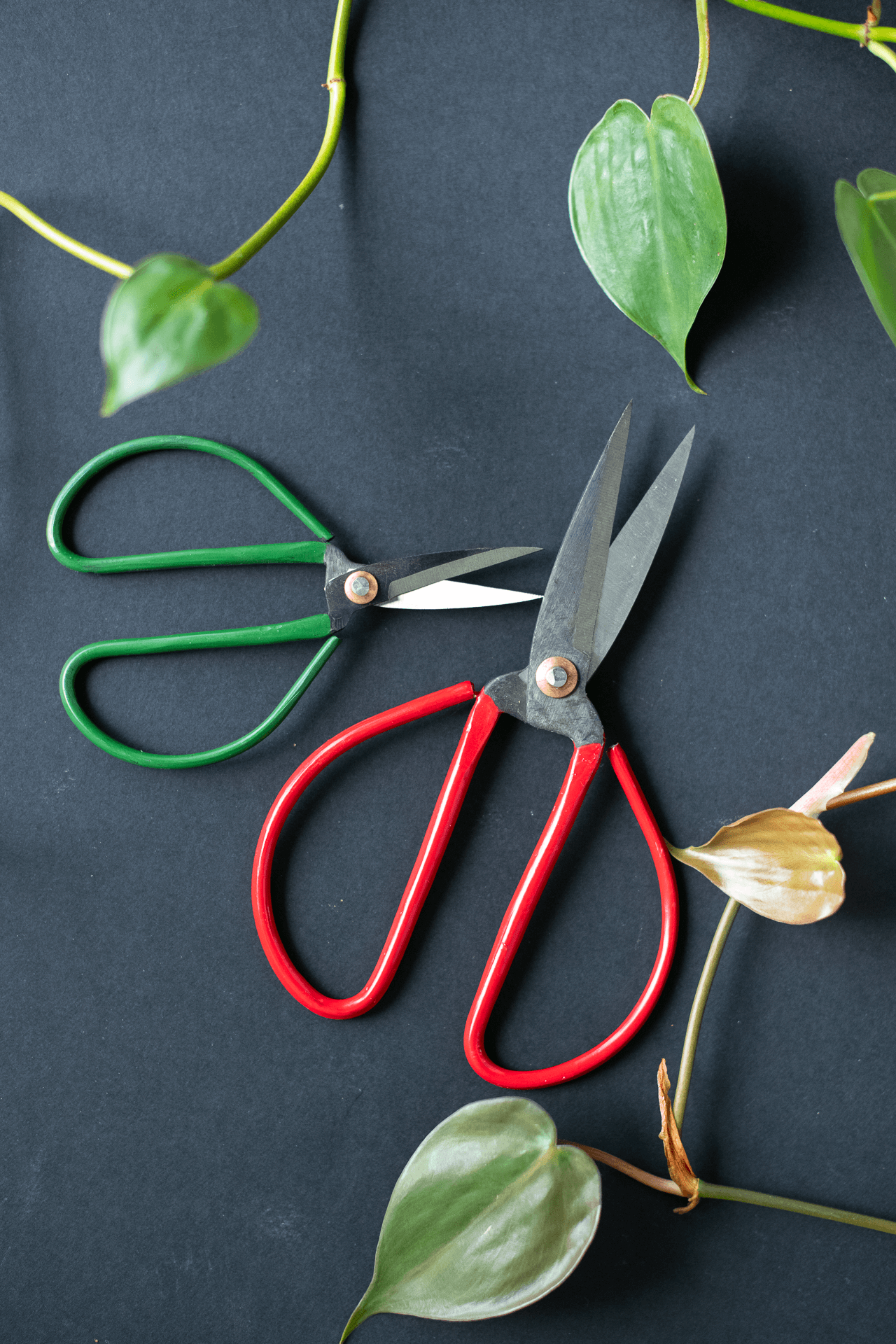 Metal Pruning Scissors