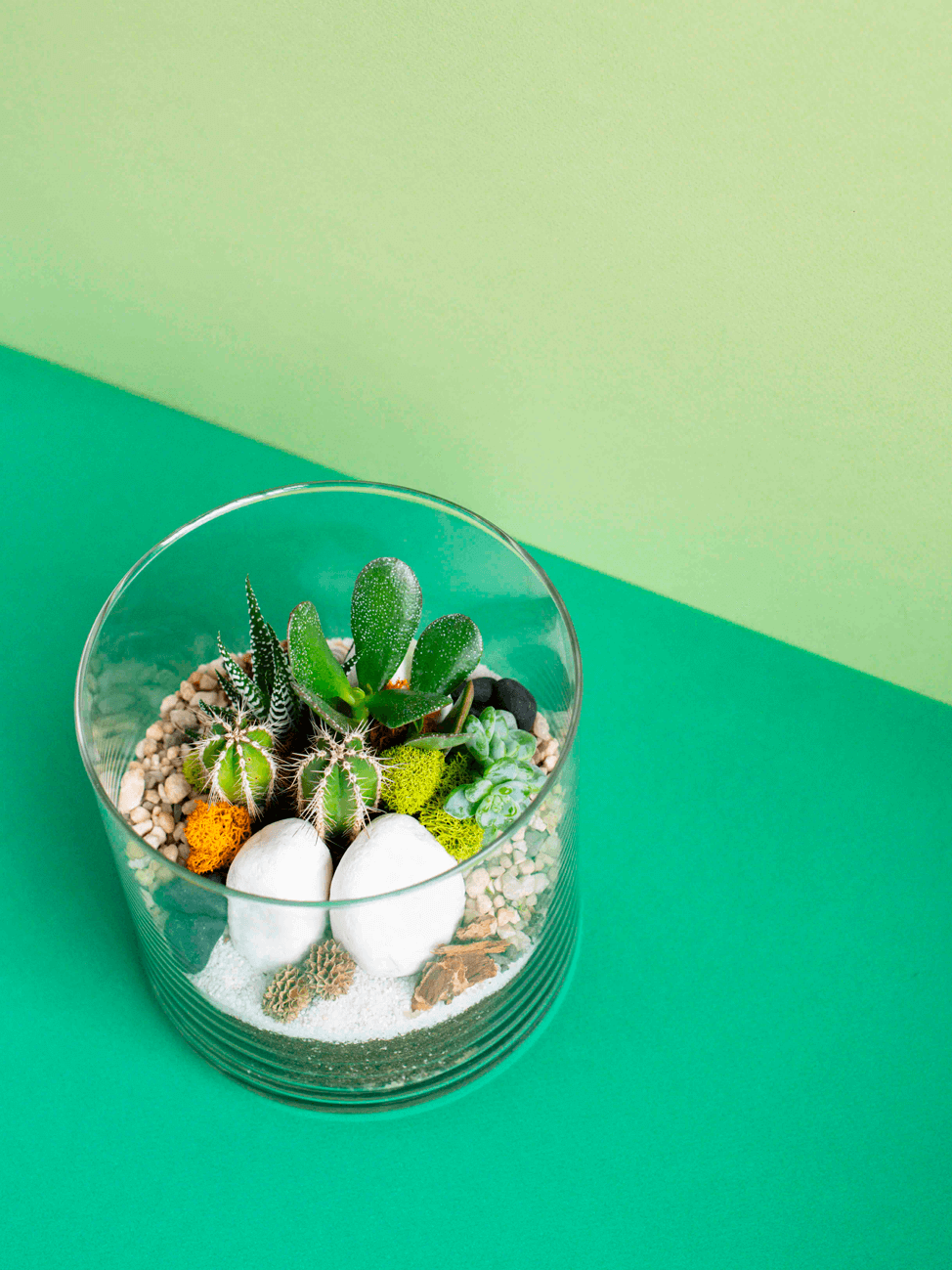 Large Cylinder Terrarium