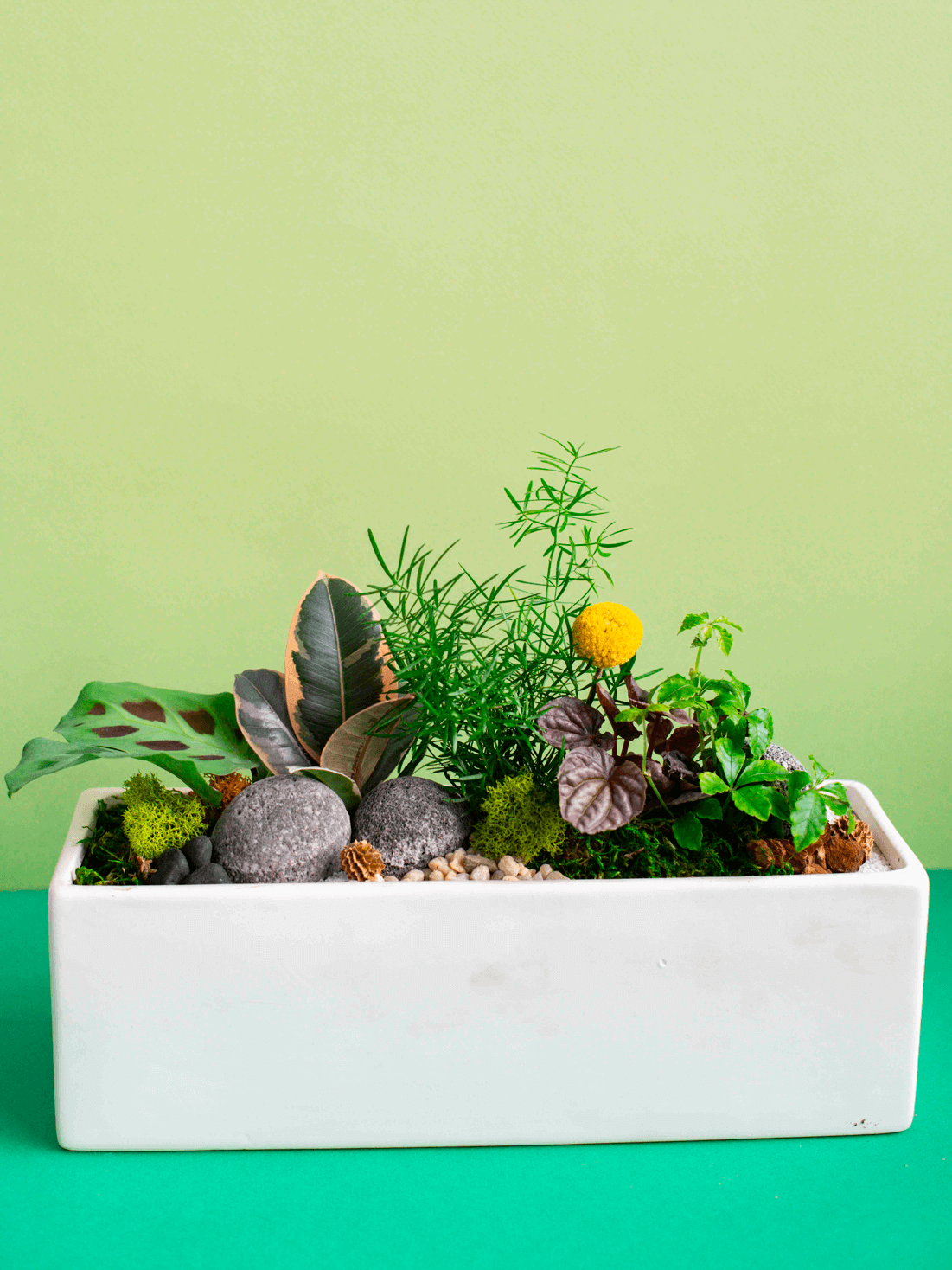 Rectangular Potted Arrangement