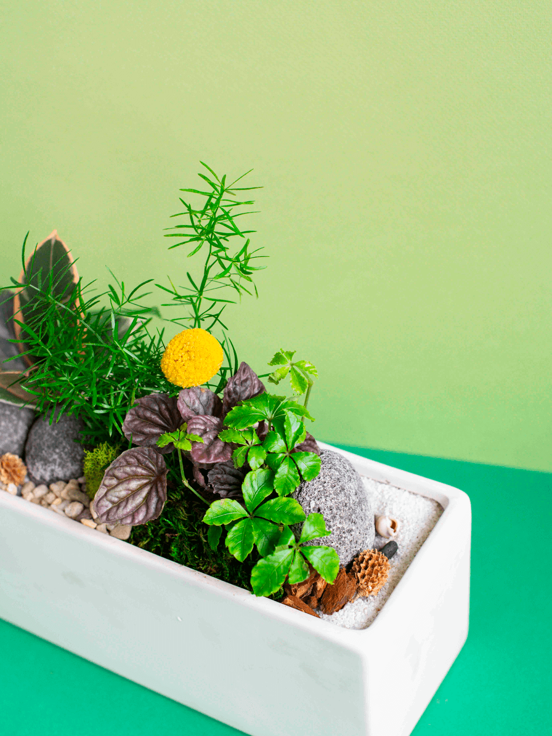 Rectangular Potted Arrangement