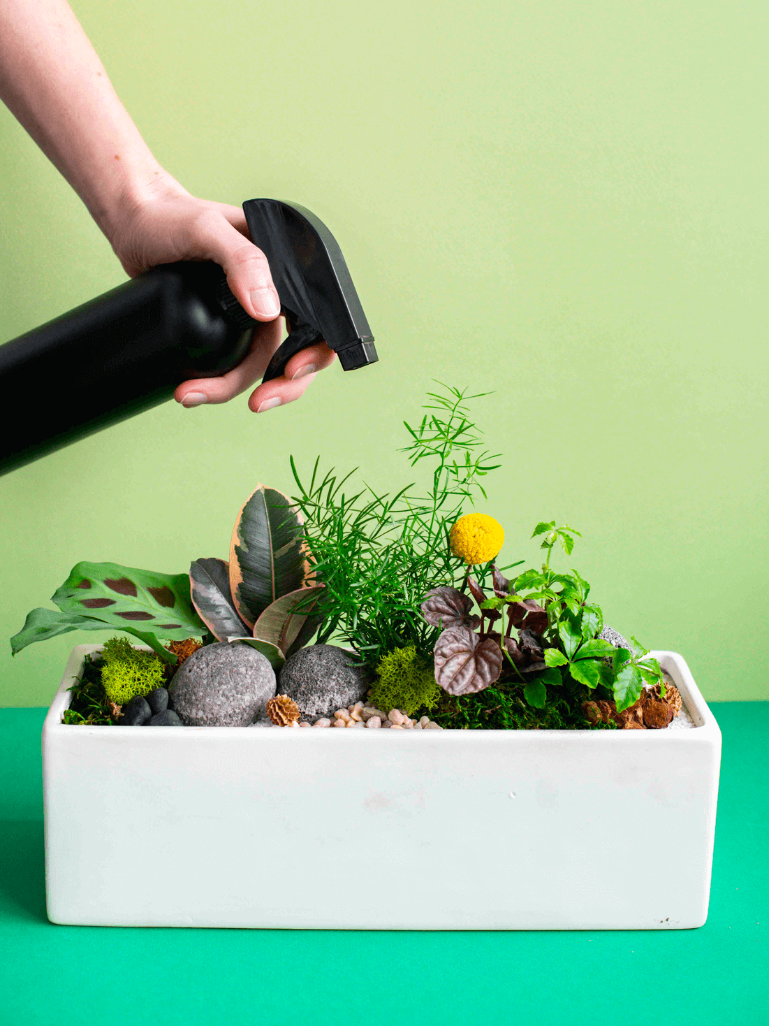 Rectangular Potted Arrangement