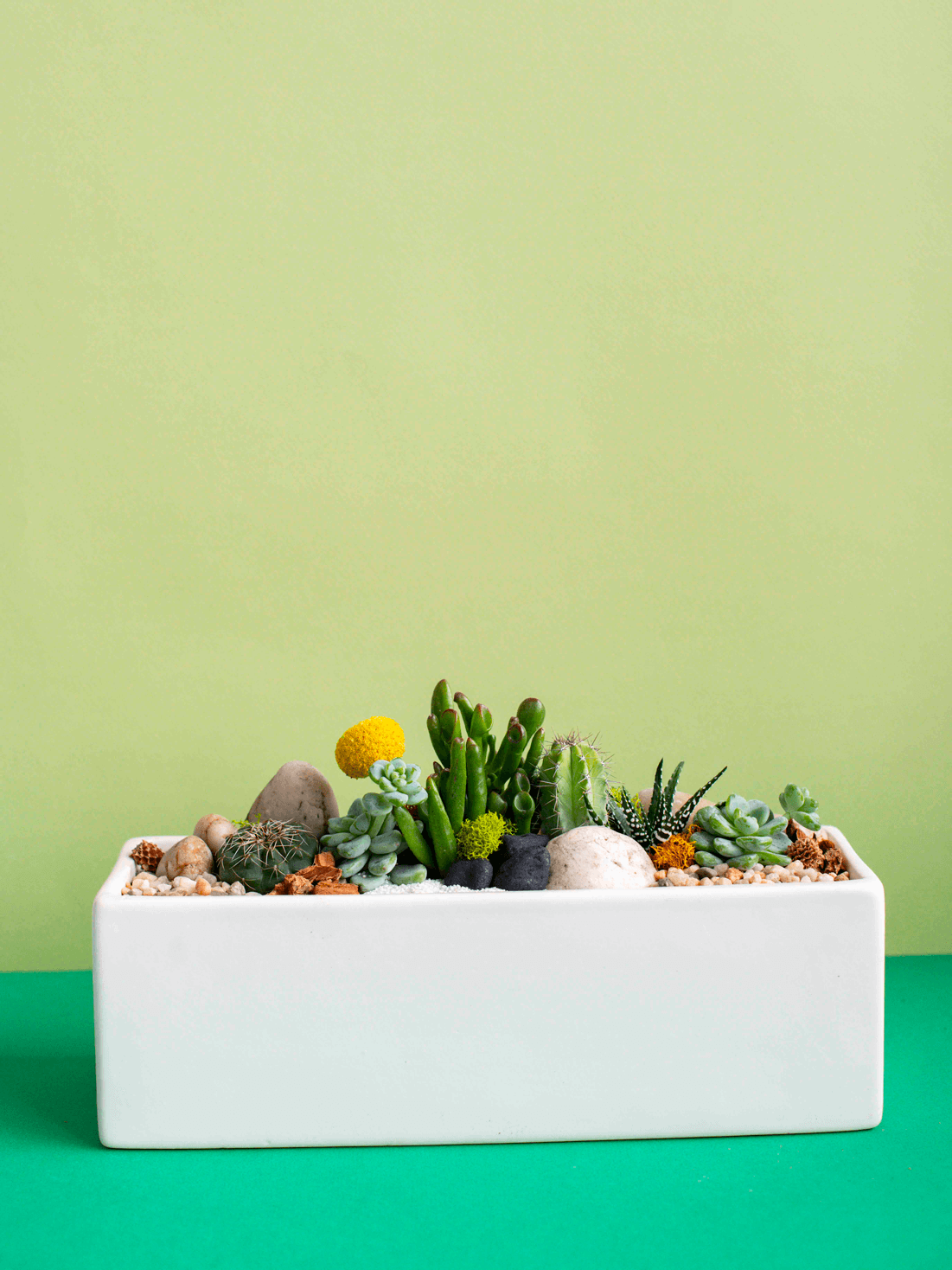 Rectangular Potted Arrangement