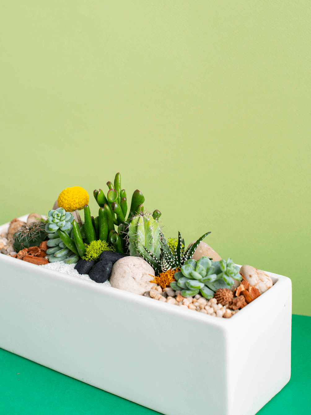 Rectangular Potted Arrangement