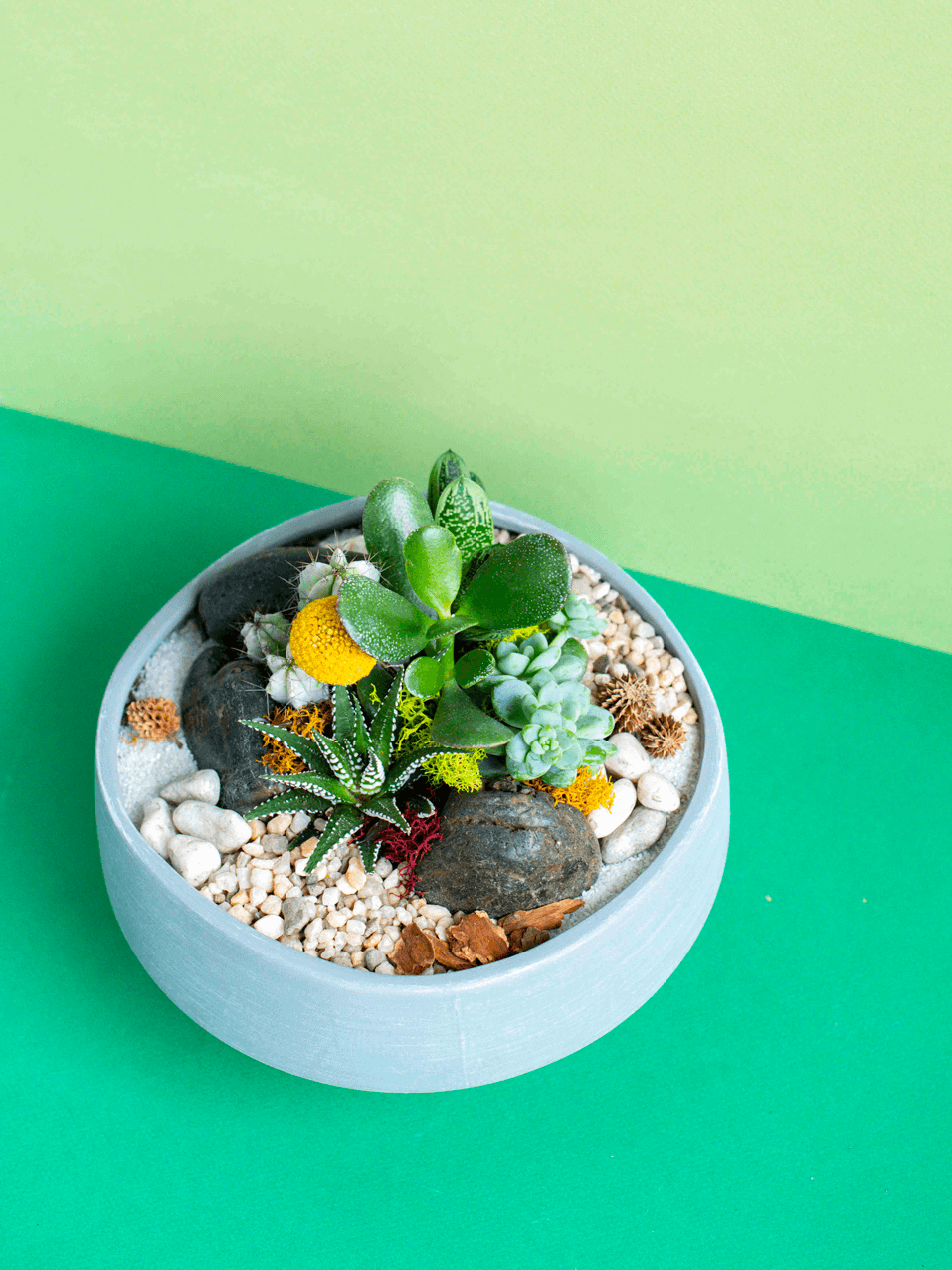 Round Low Potted Arrangement