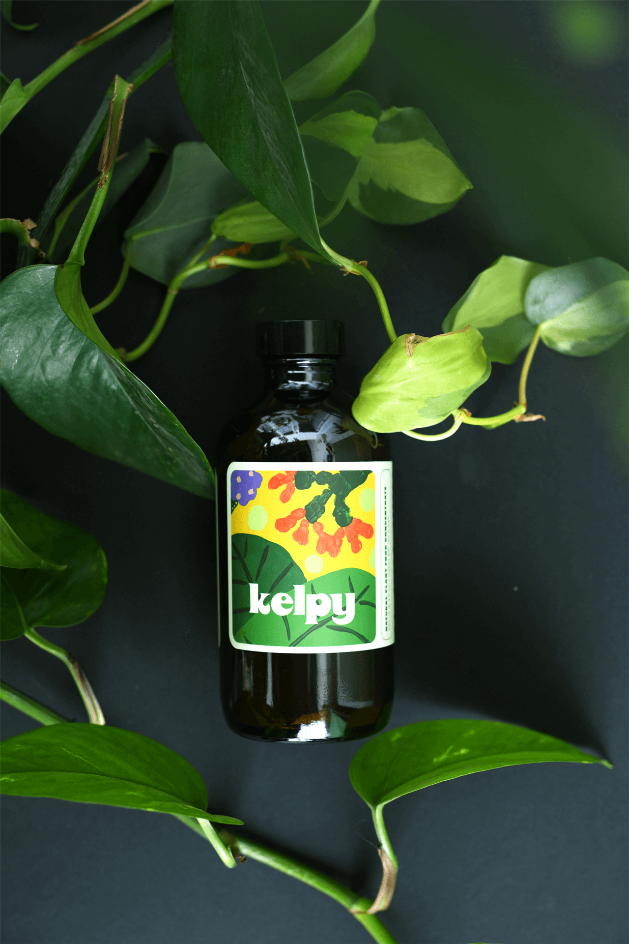 Kelpy : Plant Fertilizer