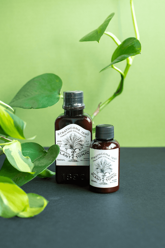 Strathcona 1890 : Plant Tonic