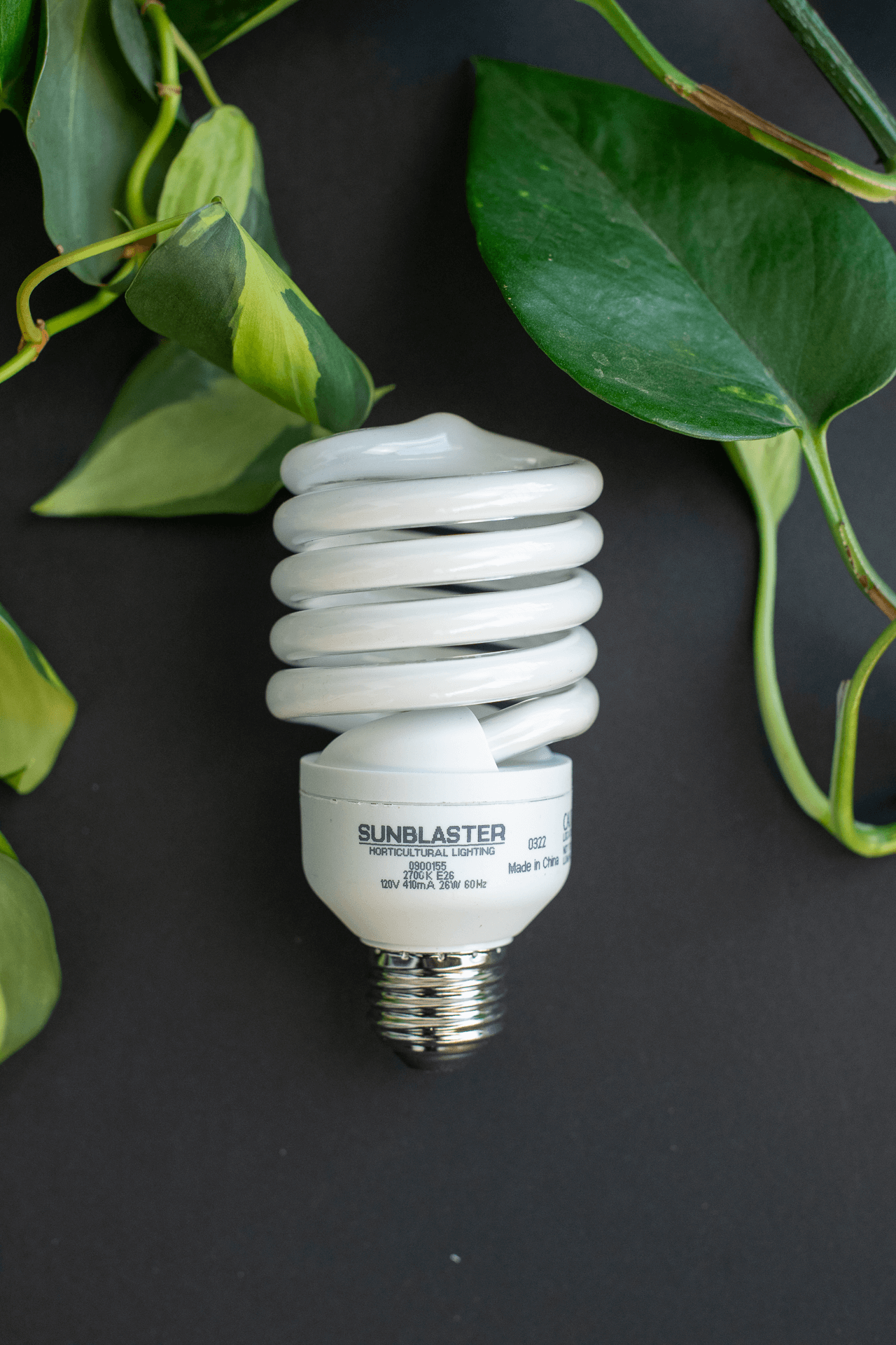 fluorescent tube grow light bulbs Grow Light Bulb : 26W – Plant Shop