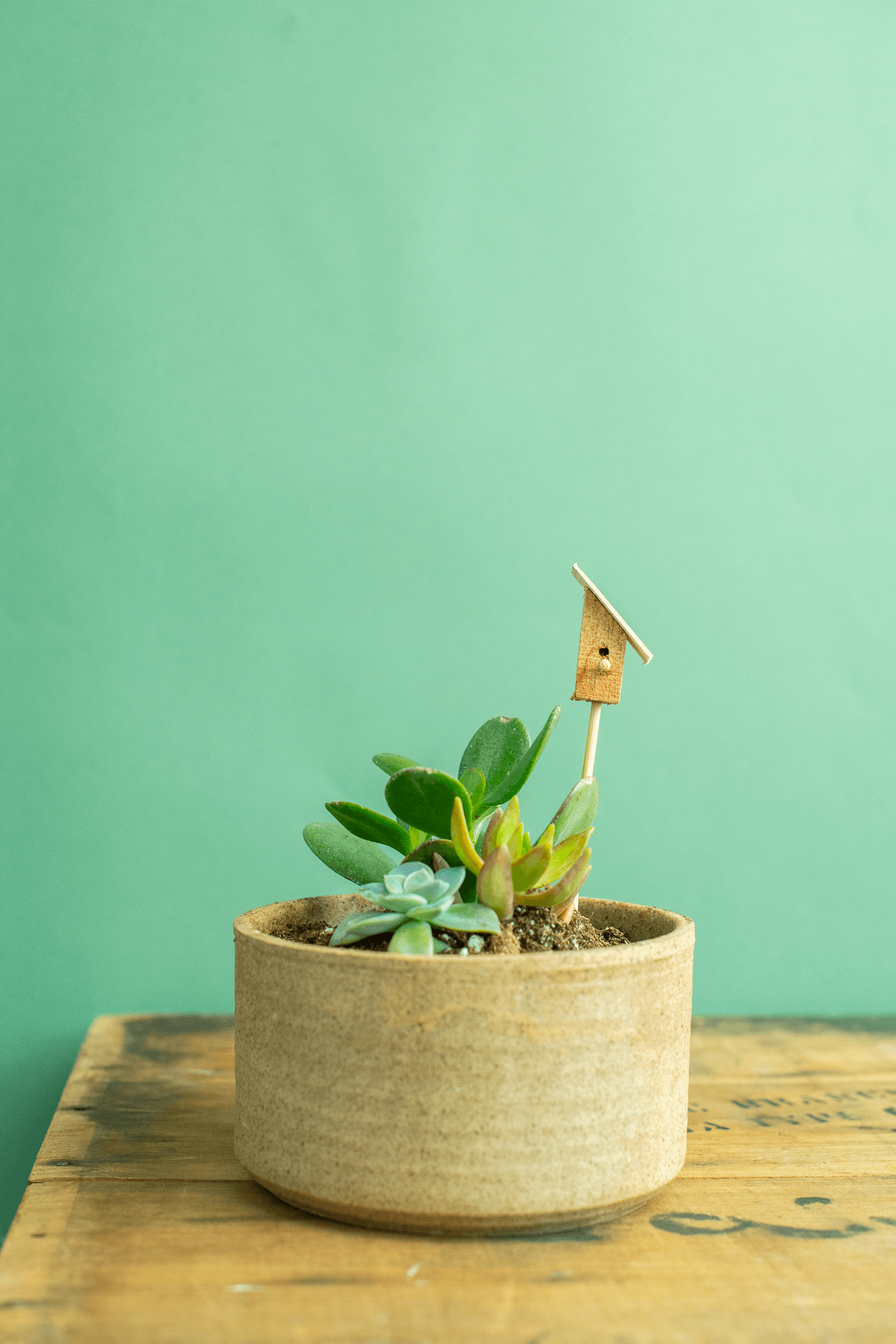 Norseman Workshop : Terrarium Bird House