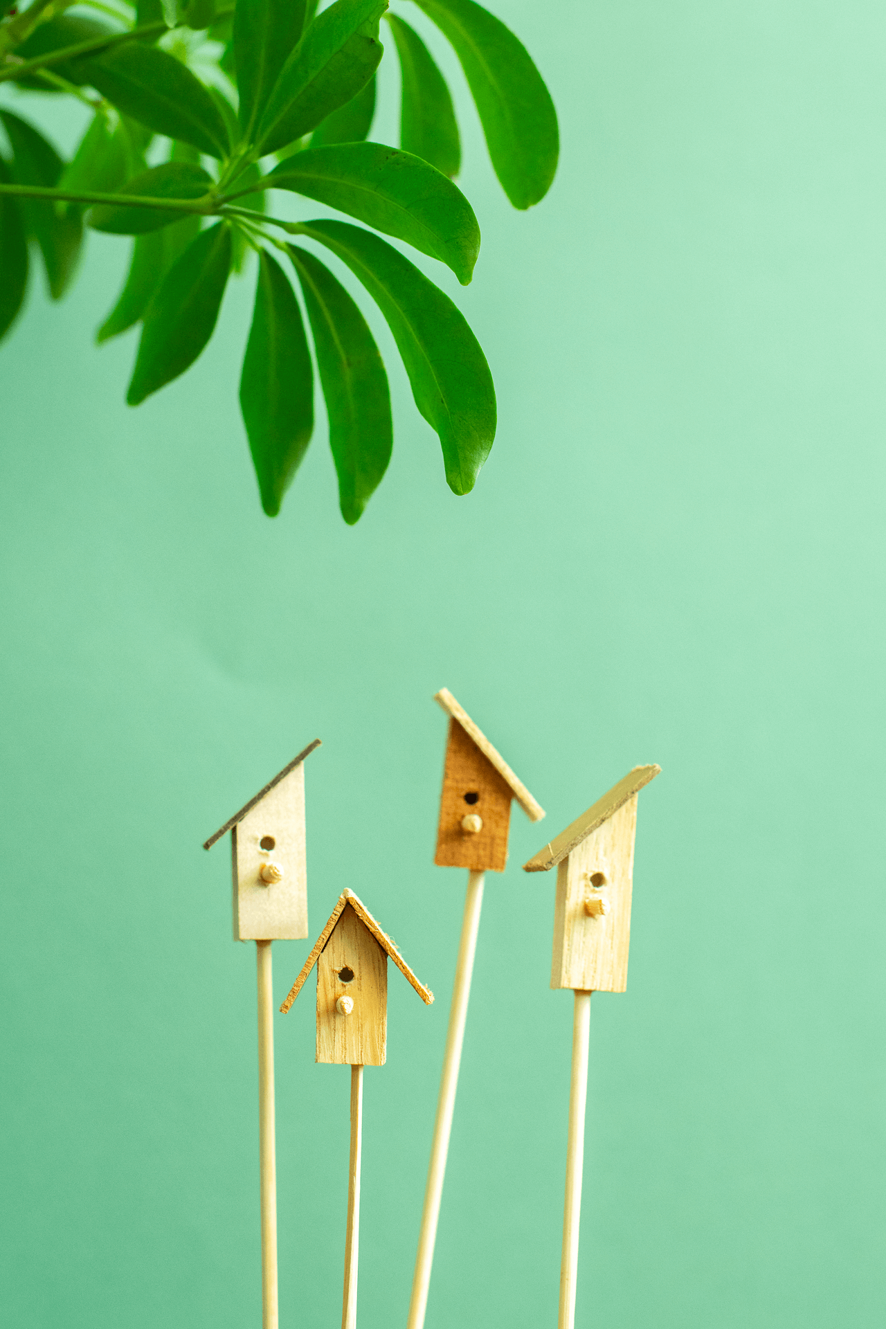 Norseman Workshop : Terrarium Bird House