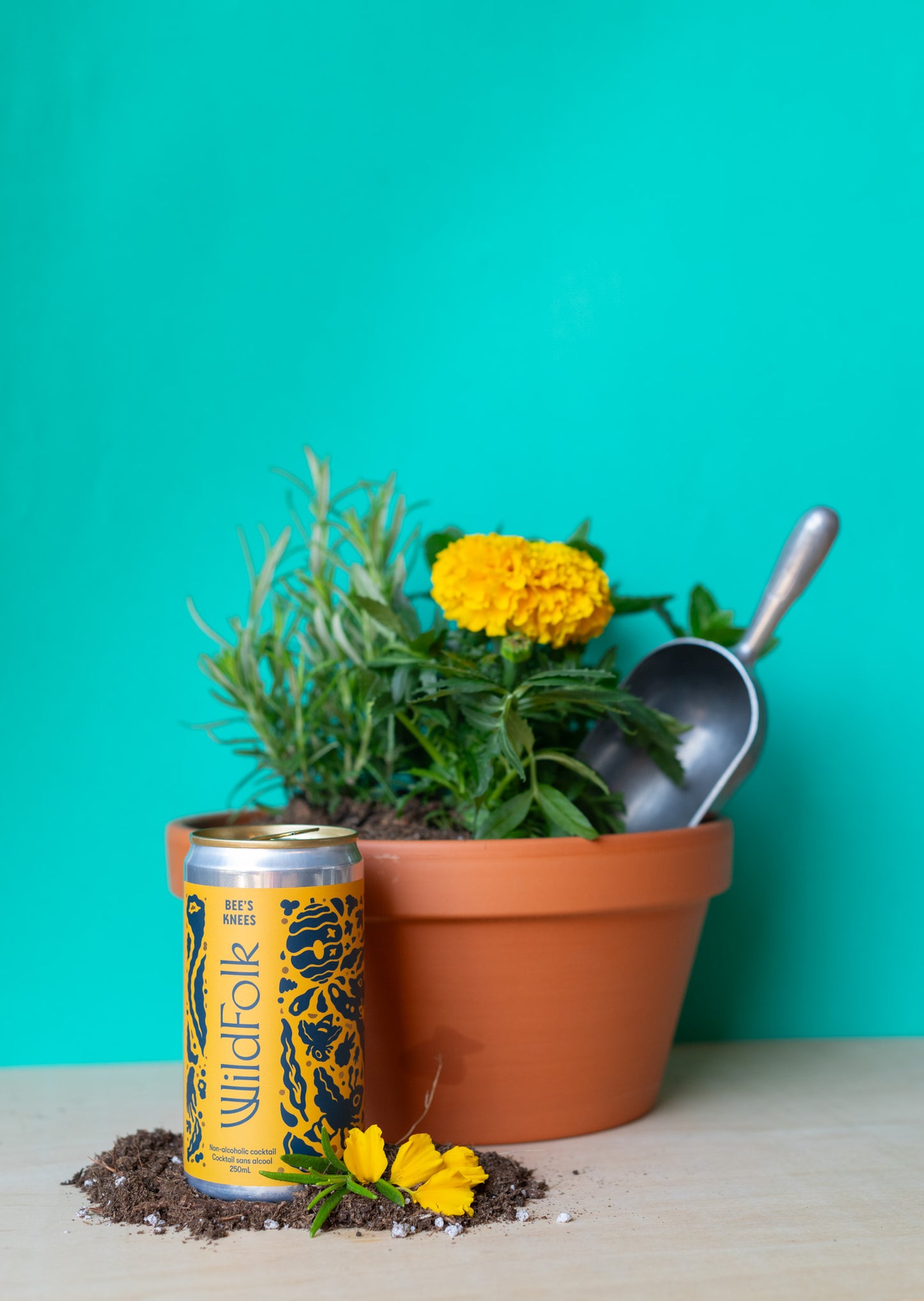 Plant x Wild Folk : Beverage Garnish & Edible Potted Arrangement Workshop