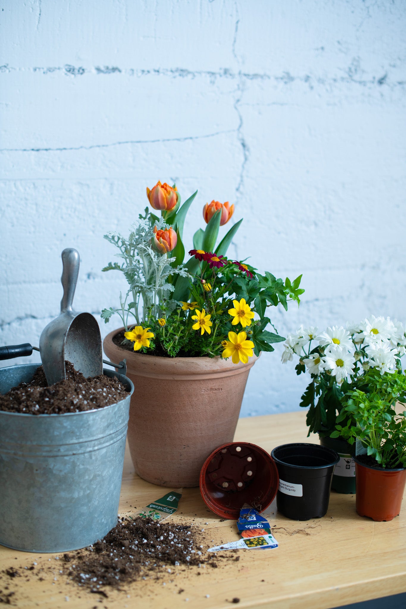 Summer Outdoor Potted Arrangement Workshop