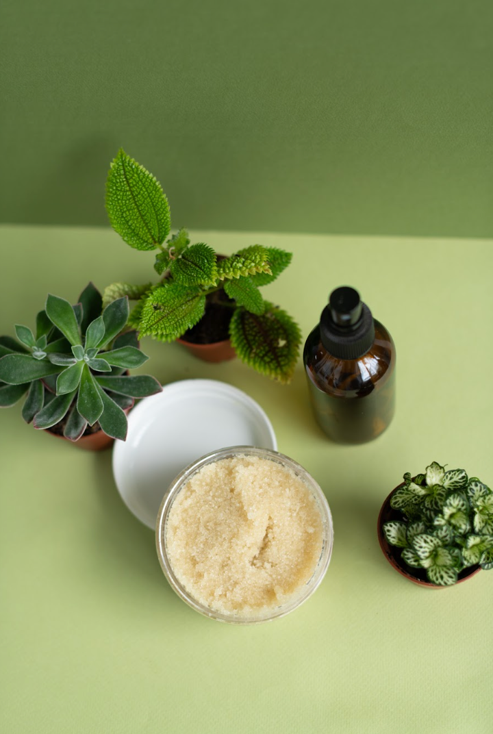Plant x The Apothecary : Room Mist / Body Scrub & Potted Plant Arrangement Workshop