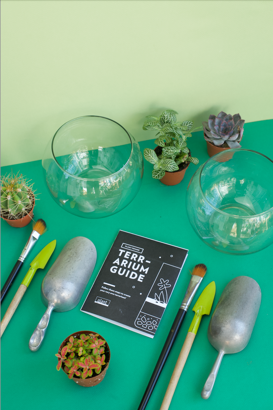Date Night DIY Terrarium Workshop (Adults Only)