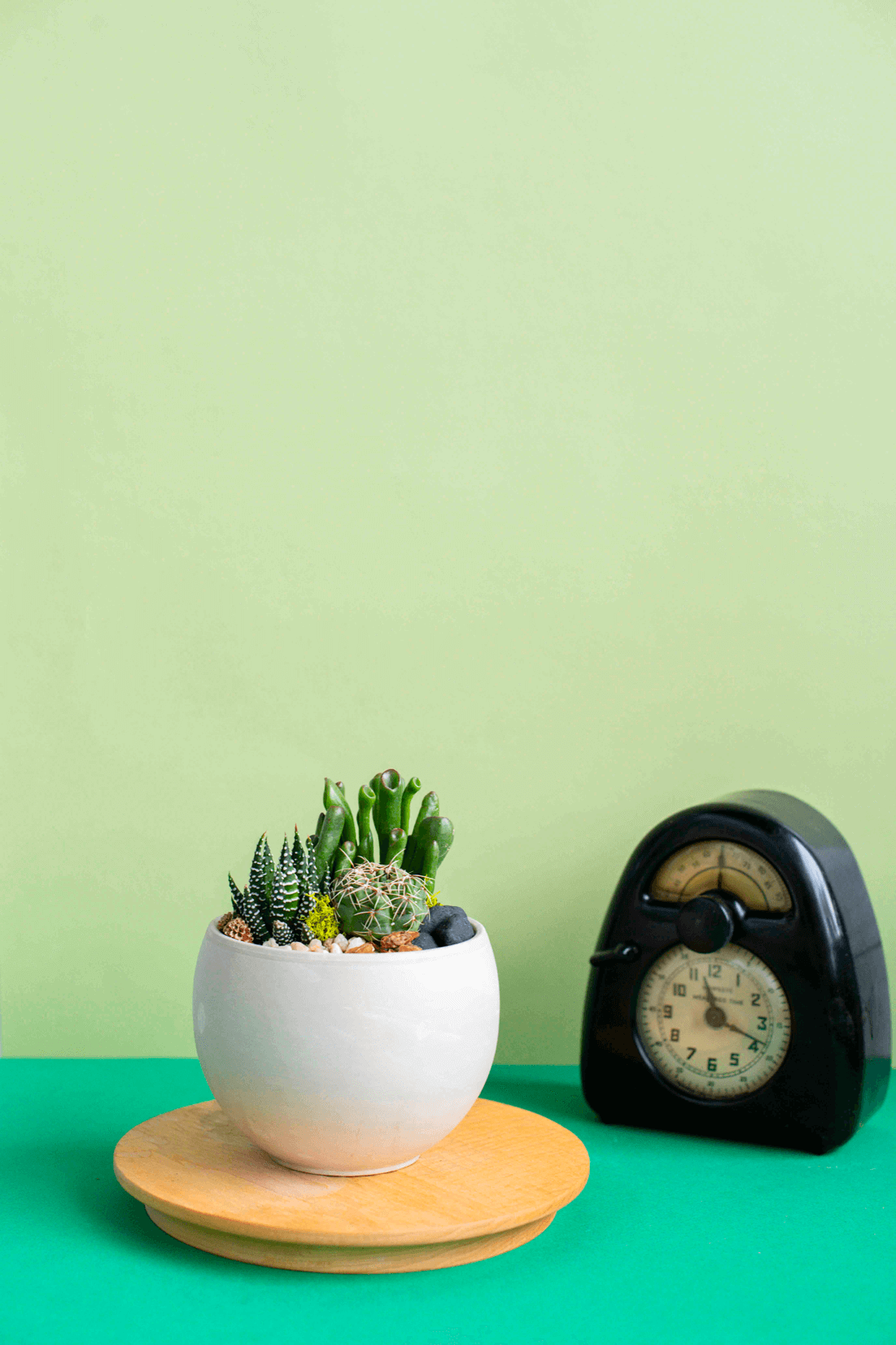 Small Round Potted Arrangement