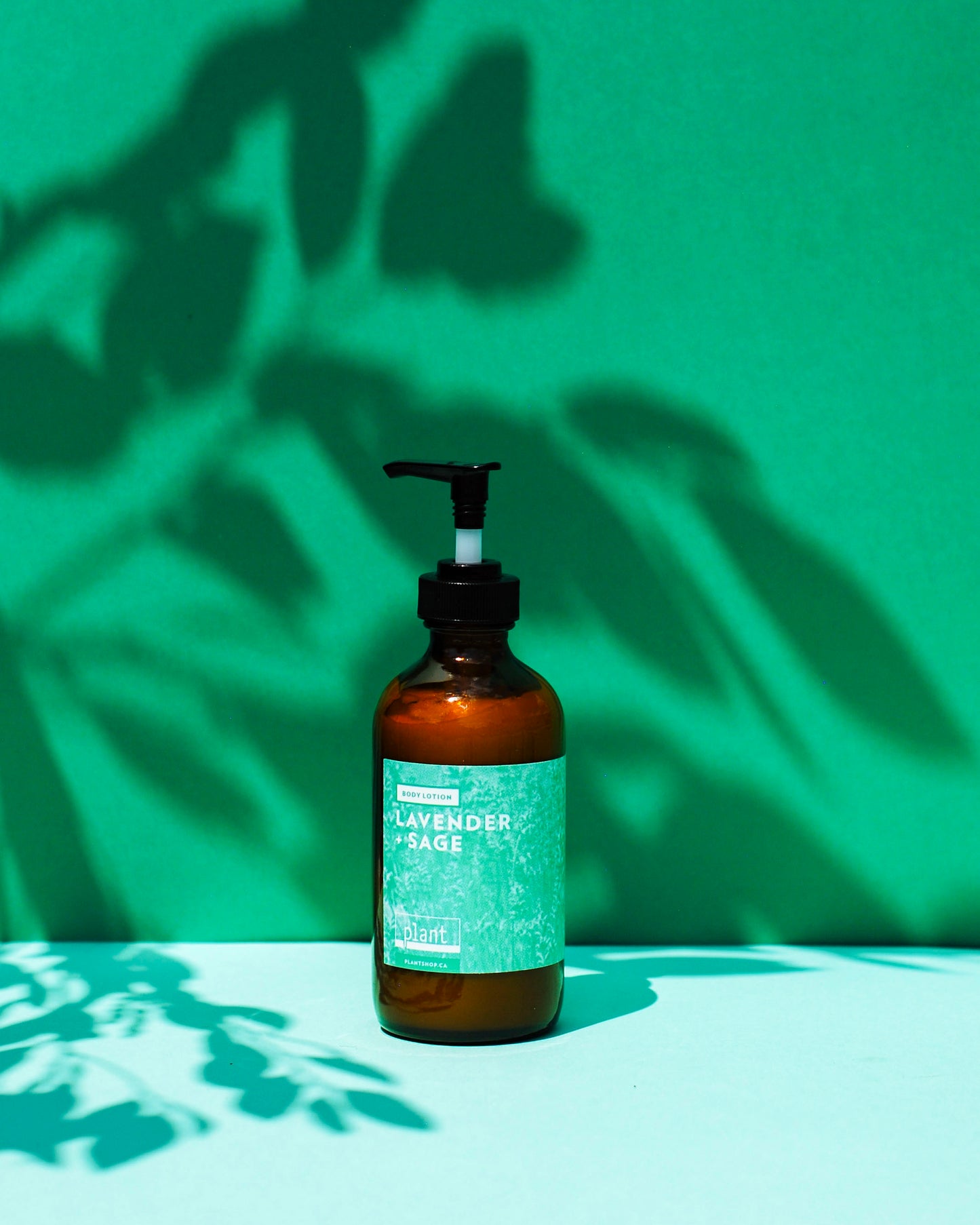 Home & Self Care Line : Body Lotion