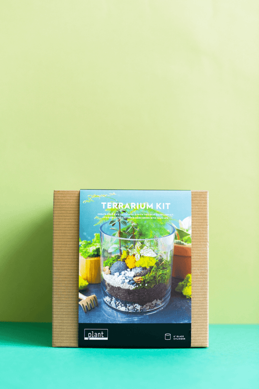 Terrarium Kit : Cylinder