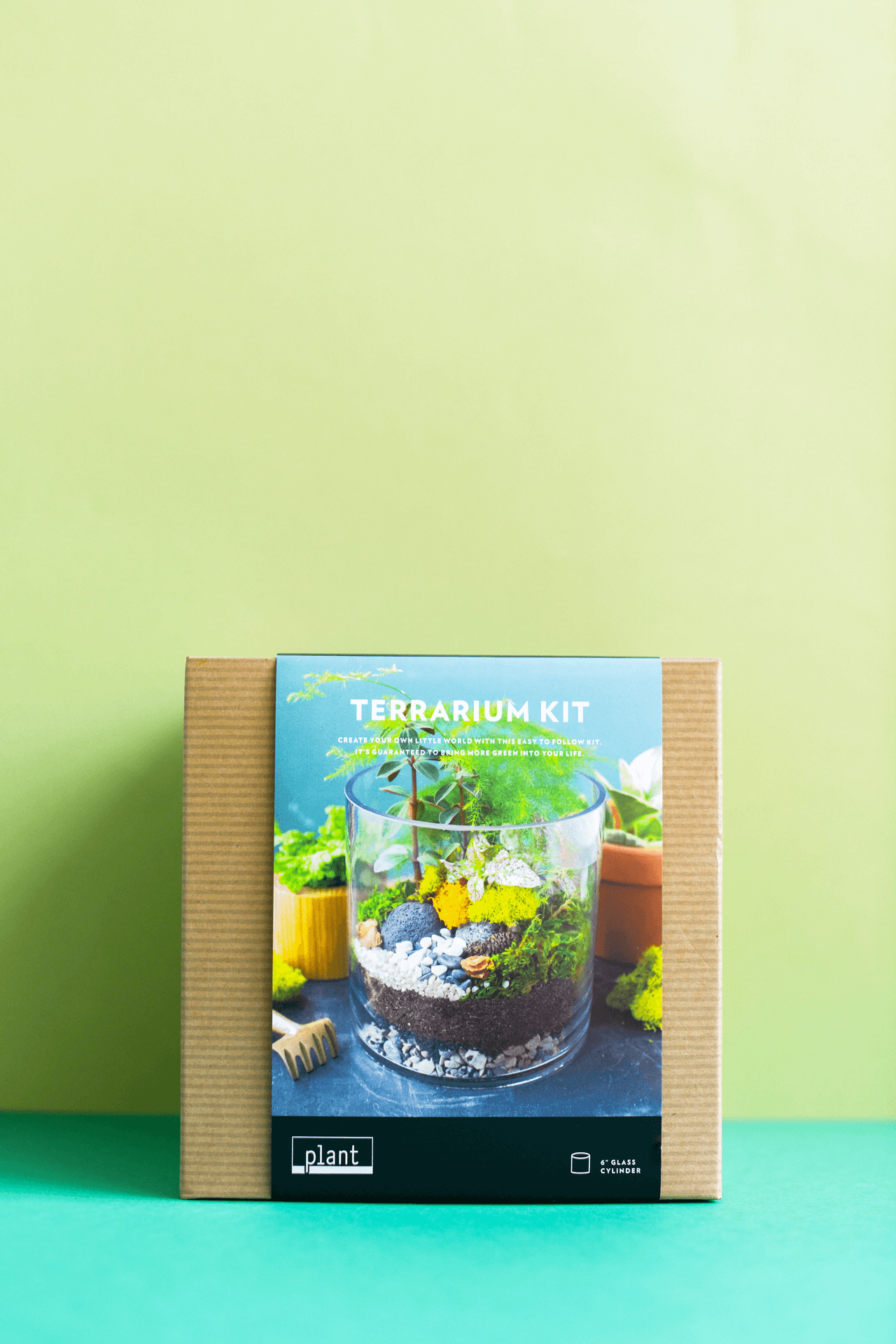 Terrarium Kit : Cylinder w/ Plants