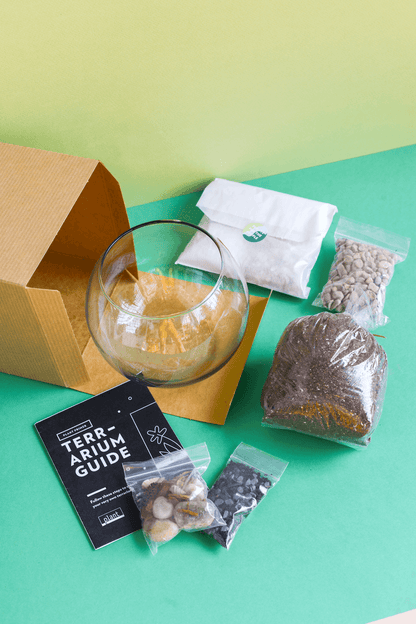 Terrarium Kit : Globe w/ Plants