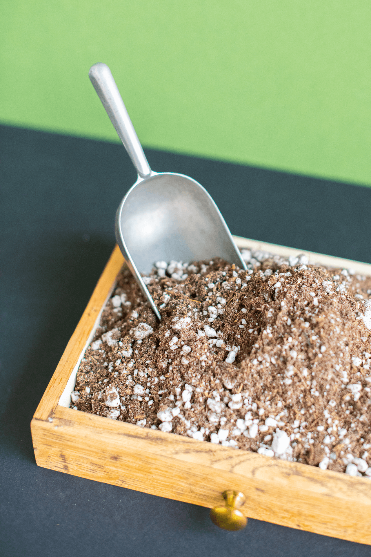 Cactus Soil