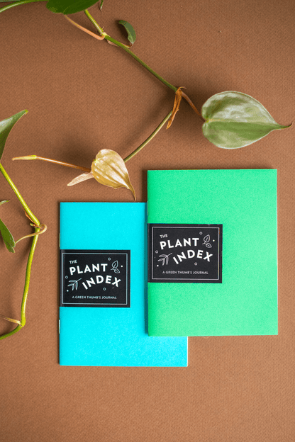 Plant Merch : The Plant Index : Set