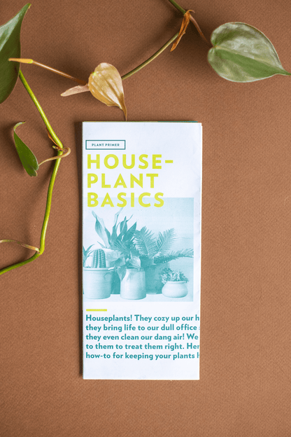 Plant Merch : Plant Primer