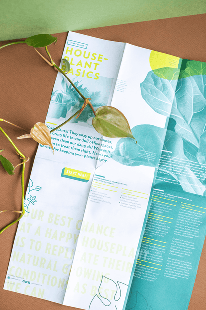 Plant Merch : Plant Primer
