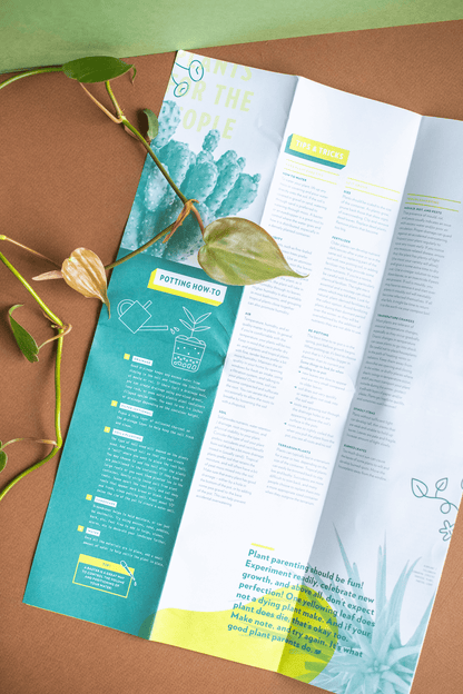 Plant Merch : Plant Primer