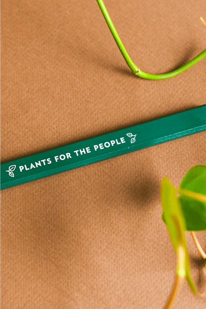 Plant Merch : Pencil