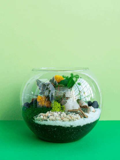 Medium Globe Terrarium