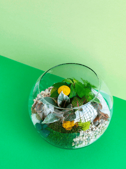 Medium Globe Terrarium