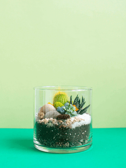 Small Cylinder Terrarium