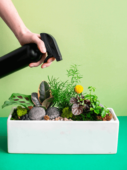 Rectangular Potted Arrangement