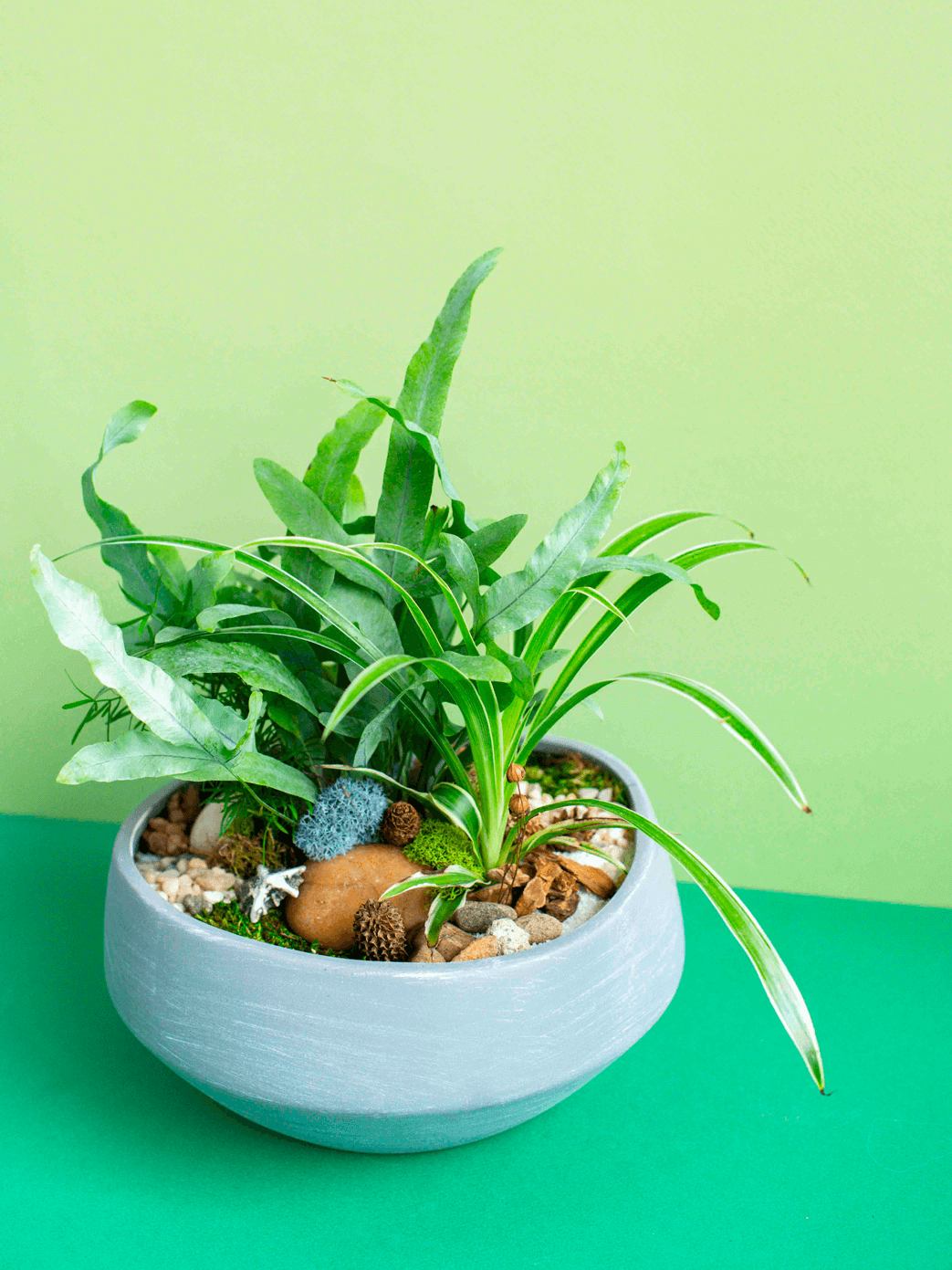 Round Low Potted Arrangement