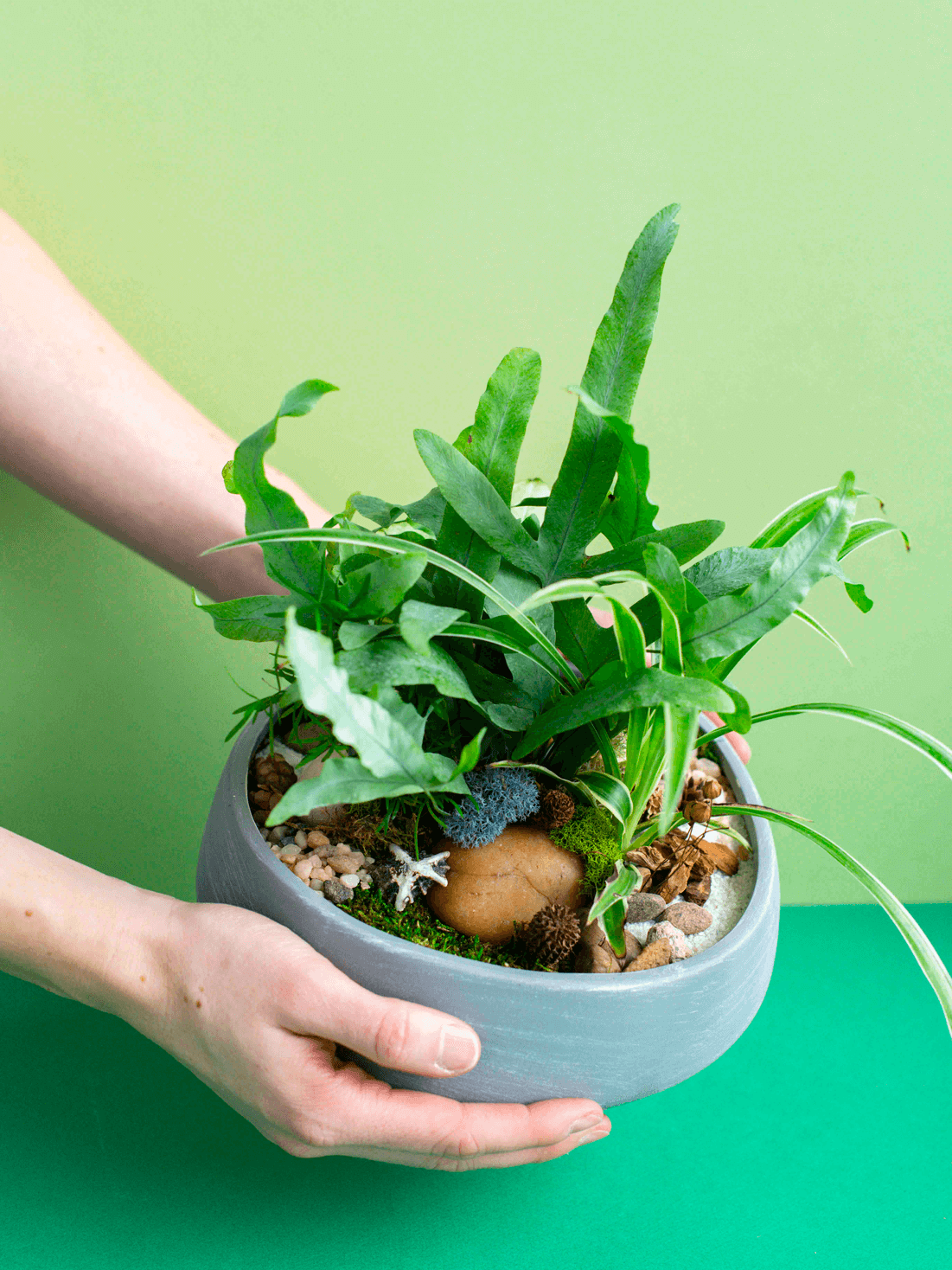 Round Low Potted Arrangement