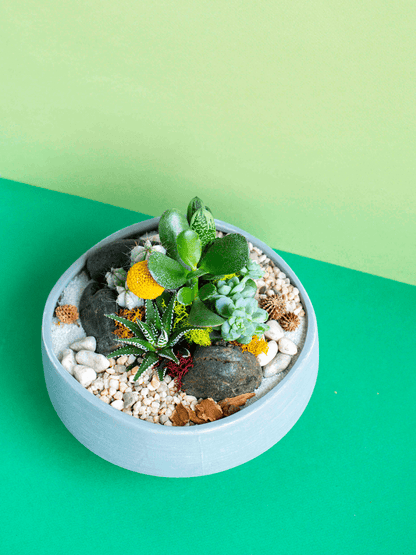 Round Low Potted Arrangement