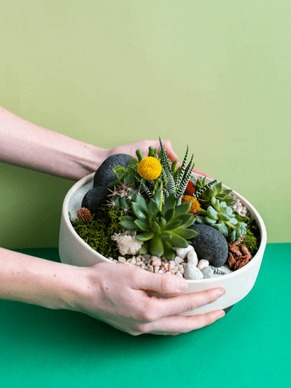 Large Potted Arrangement
