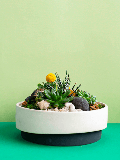 Large Potted Arrangement