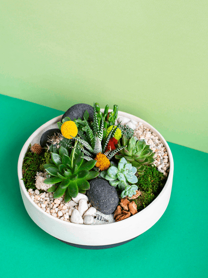 Large Potted Arrangement