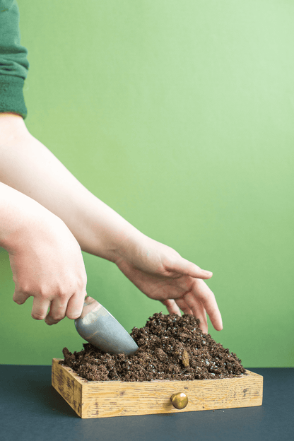 Soil