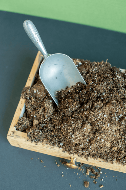 Soil
